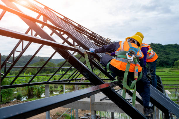 Best Roof Gutter Cleaning  in Granite City, IL