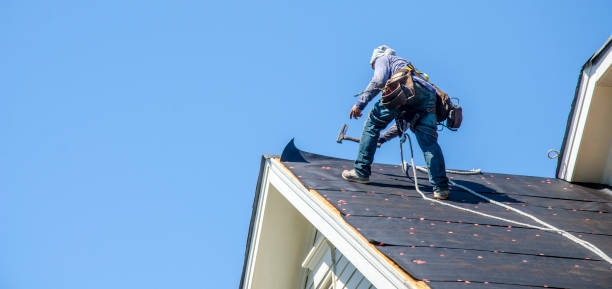 Best Gutter Installation and Roofing  in Granite City, IL